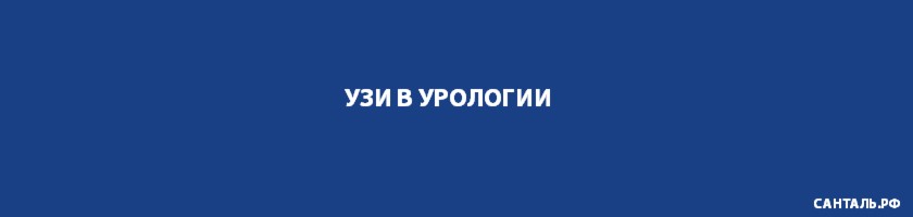 УЗИ в урологии в клиниках Санталь в Новосибирске УЗИ в урологии в клиниках Санталь в Новосибирске